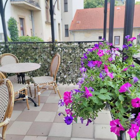 Hotel Dejmalik Litoměřice المظهر الخارجي الصورة