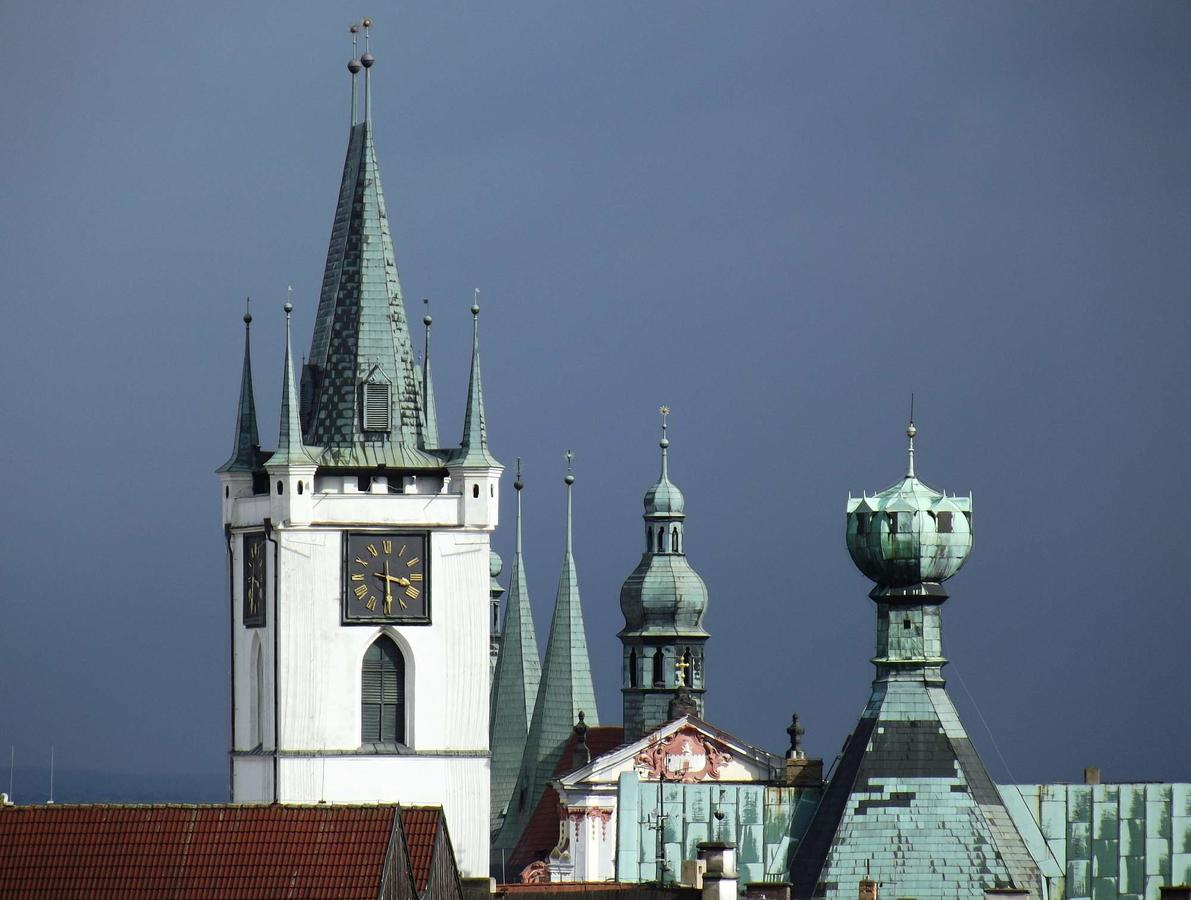 Hotel Dejmalik Litoměřice المظهر الخارجي الصورة